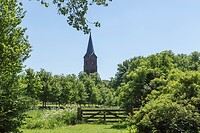 DSC05987
