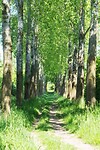 DSC05990