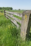 DSC05992