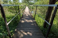 DSC05995
