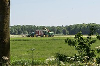DSC06004