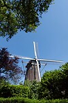 DSC06011