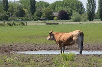 DSC06018