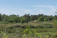 DSC06027