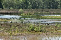 DSC06031