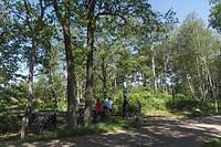 DSC06035