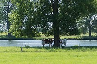 DSC06041