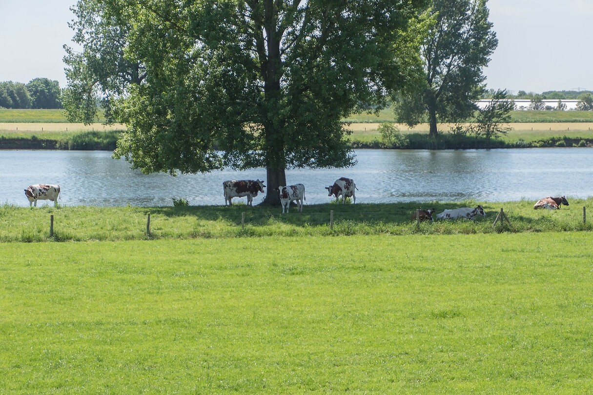 DSC06042