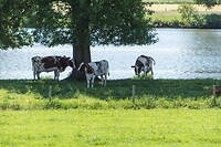 DSC06043