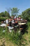 DSC06051
