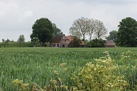DSC06088