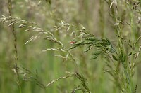 DSC06116