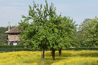 DSC06191