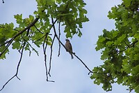DSC06195