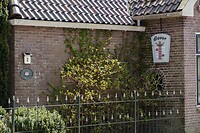 DSC04918-