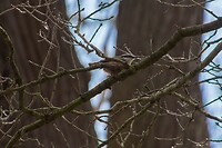 DSC04925-