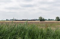 DSC06596