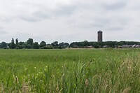 DSC06599