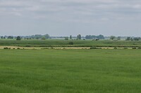 DSC06602