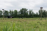 DSC06615