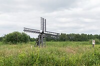 DSC06619