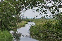 DSC06661