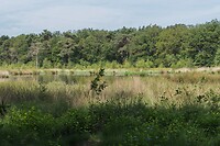 DSC06675