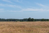 DSC06676