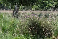 DSC06685