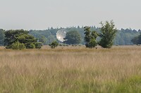 DSC06690
