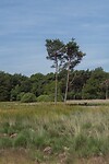 DSC06692