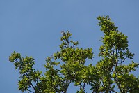 DSC06702
