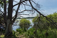 DSC06704