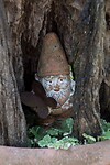 DSC06783