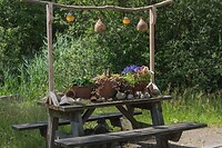 DSC06787