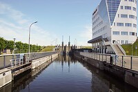 DSC06415