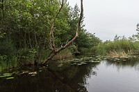 DSC08249