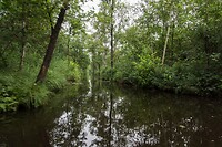 DSC08251