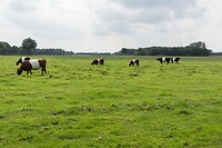 DSC08940