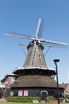 DSC08950
