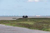 DSC09111