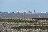 DSC09130