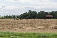 DSC09132