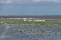 DSC09183