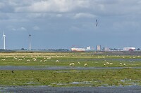 DSC09192