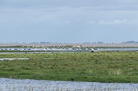 DSC09203