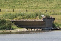 DSC06566