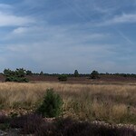 DSC09221-