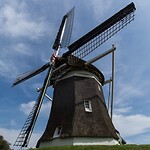 DSC09239