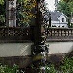 DSC09251